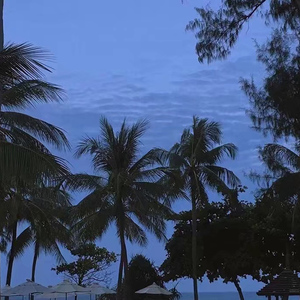 小泬BBBBBB免费看
